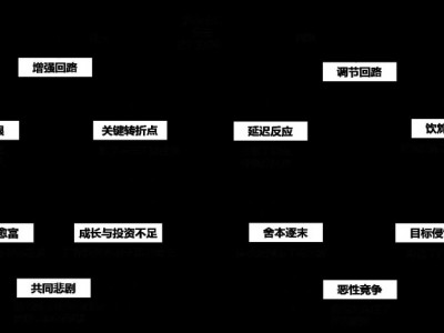 破解組織復(fù)雜問(wèn)題的十大系統(tǒng)思考模式,思考魔方，成長(zhǎng)引擎